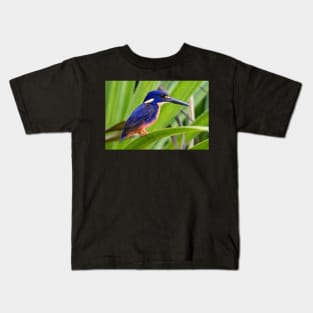 Azure Kingfisher, Kakadu National Park Kids T-Shirt